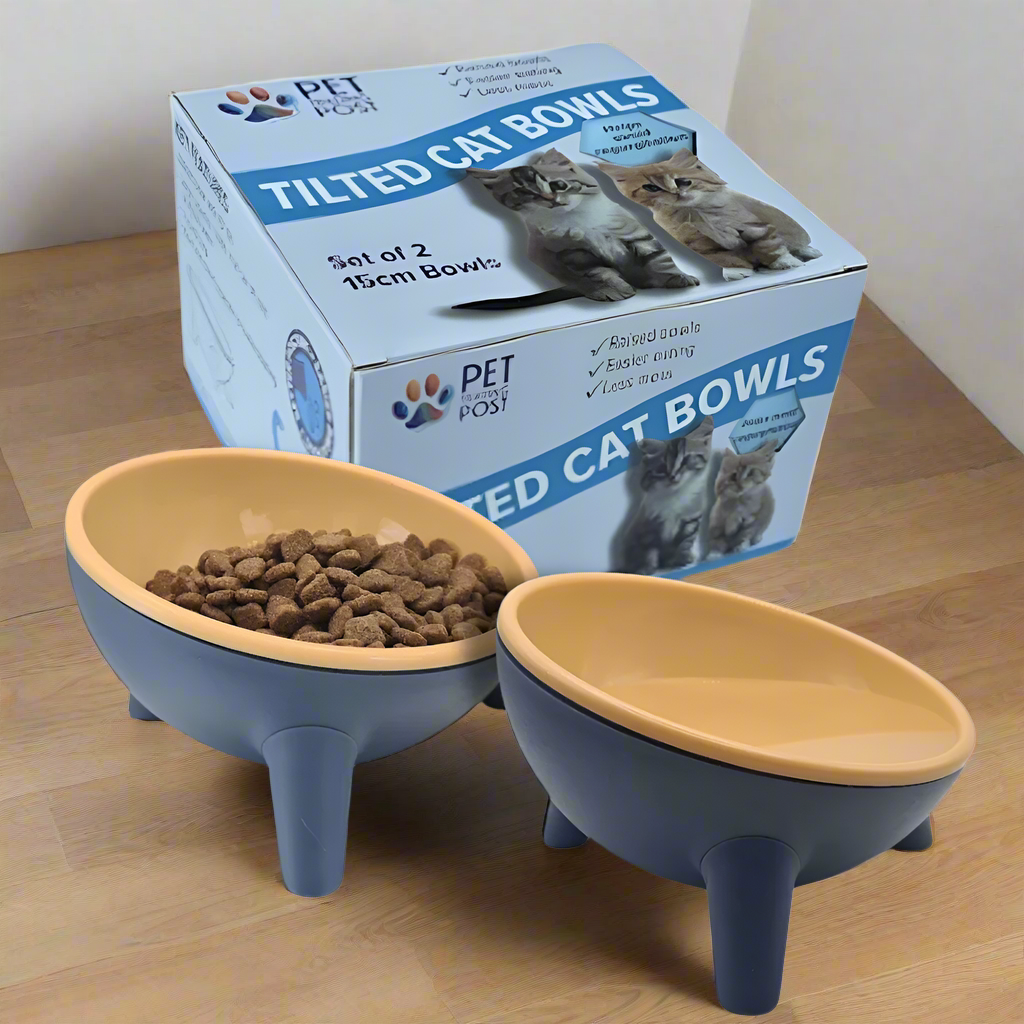 Set of 2 Raised Tilted Feeding Bowls in Gift Box