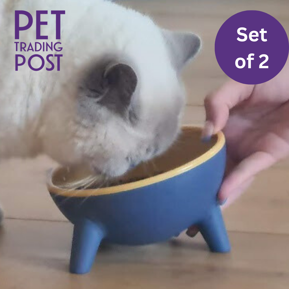 Set of 2 Raised Tilted Feeding Bowls in Gift Box