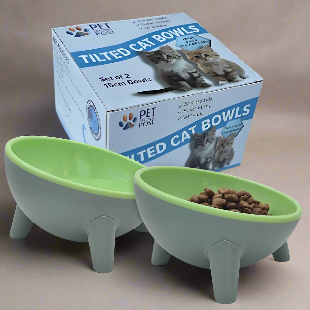 Set of 2 Raised Tilted Feeding Bowls in Gift Box