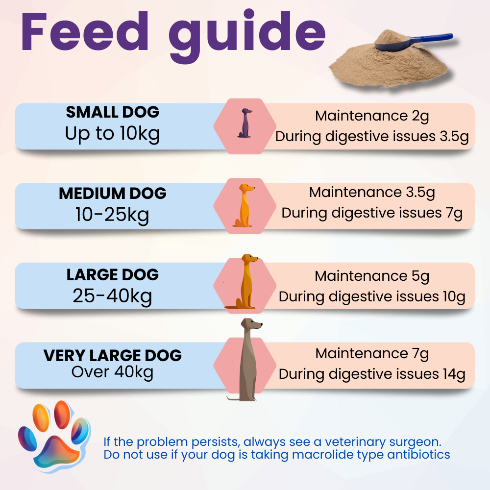 3P Prebiotic, Probiotic & Postbiotic for Dogs