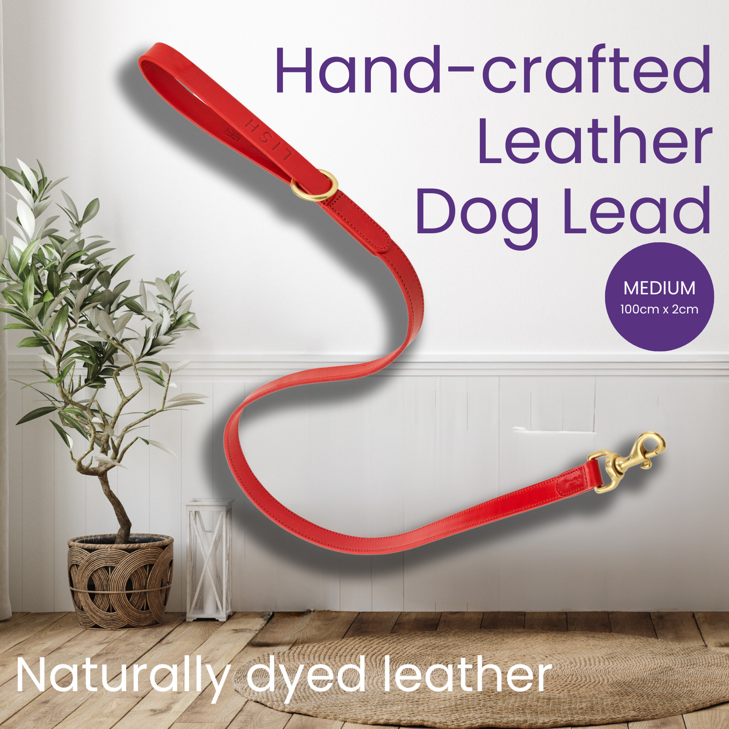 Luxury Leather Dog Lead (Red Large 1.2m x 2.5cm)