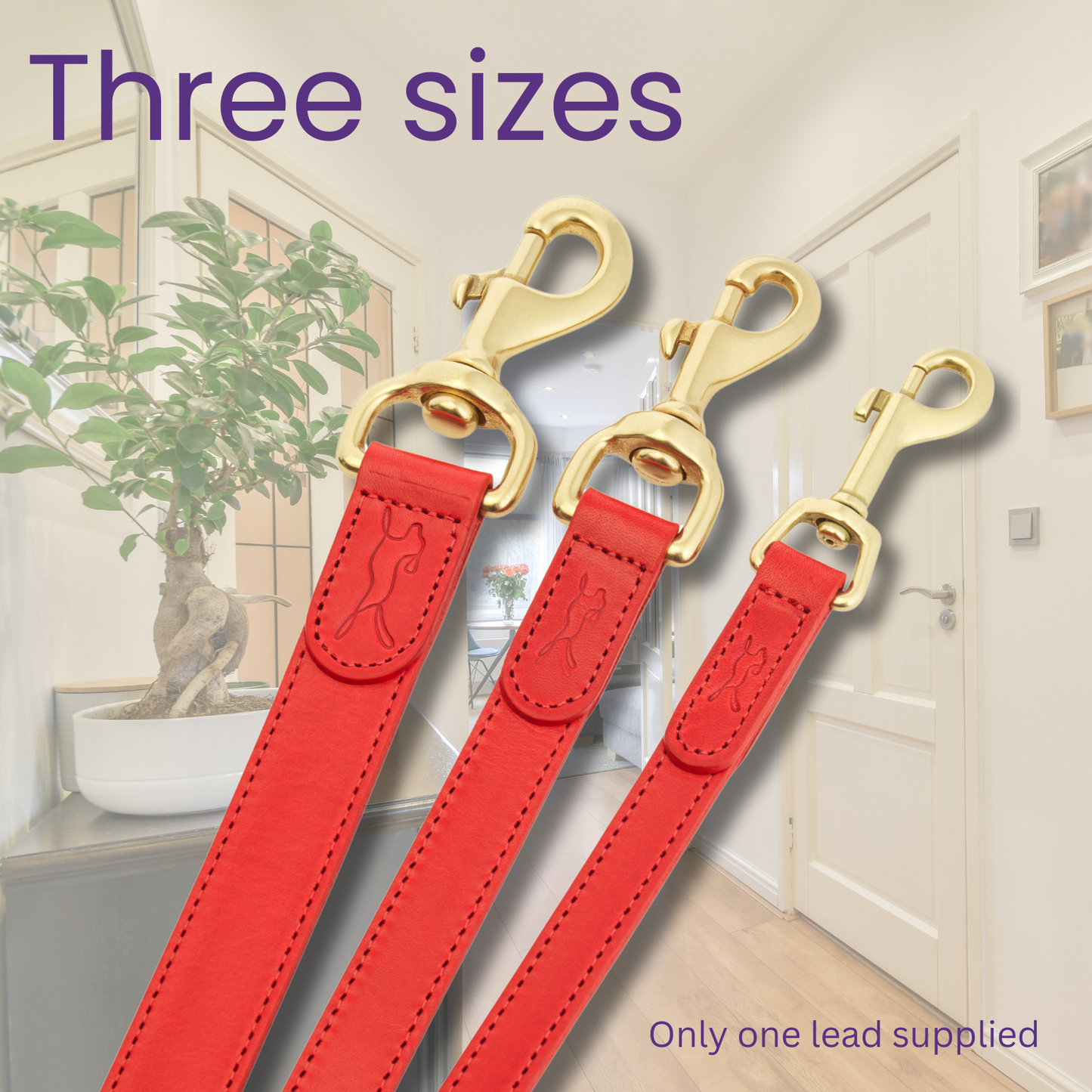 Luxury Leather Dog Lead (Red Large 1.2m x 2.5cm)