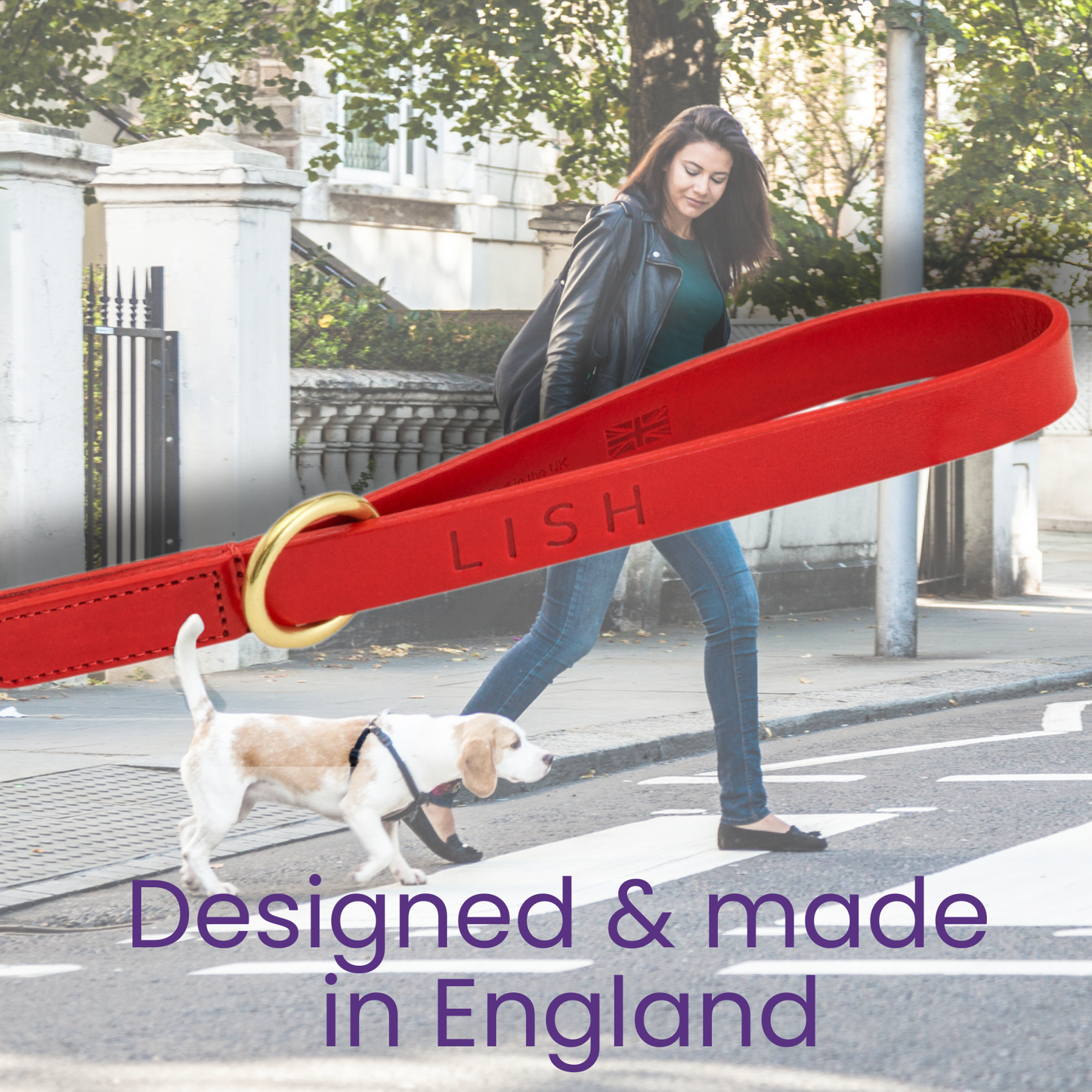 Luxury Leather Dog Lead (Red Large 1.2m x 2.5cm)